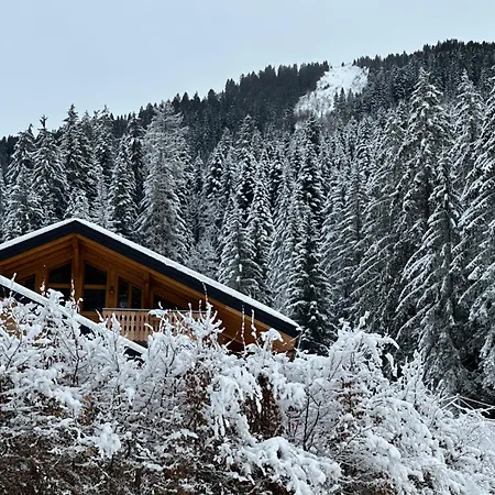 La Rose Des Neiges A