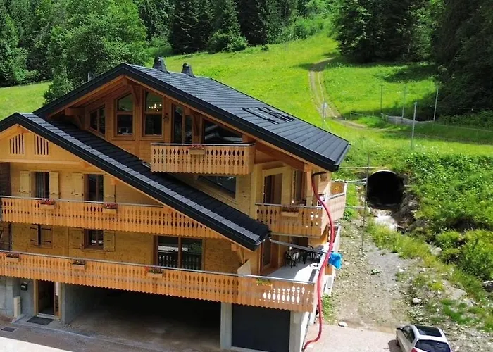 La Rose Des Neiges A Chatel
