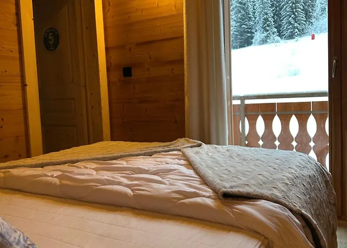 La Rose Des Neiges A Apartment Chatel