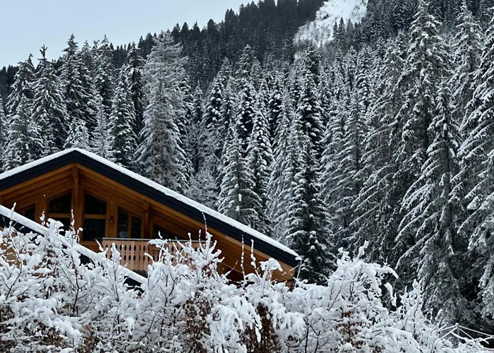 La Rose Des Neiges A