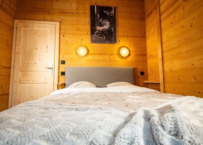 La Rose Des Neiges A Apartment Chatel